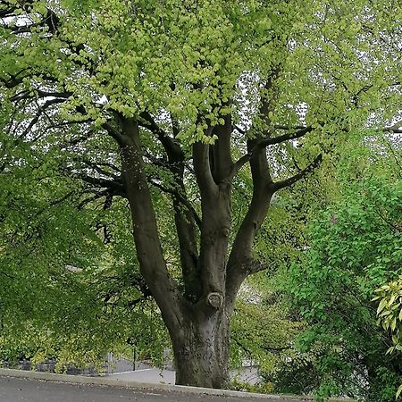 The Beeches Διαμέρισμα Νιούρι Εξωτερικό φωτογραφία